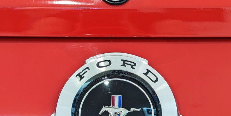 Compatibility Logo - The emblem on a red mustang car